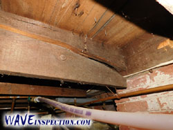 WAVE Home Inspector MA