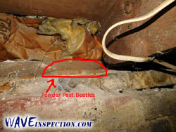 WAVE Home Inspector MA