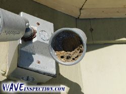 Bees nest inside light socket - WAVE Home Inspector MA