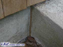Termite Mud Tube WAVE Home Inspector MA